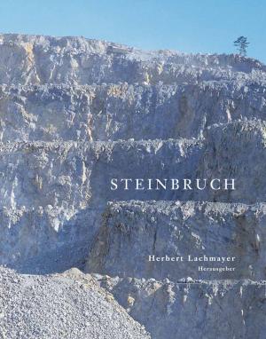 Cover of the book Steinbruch by Beatrice Paolozzi Strozzi, H. E. Weidinger, Stefania Gitto, Ottaviano Tenerani, Matthias J. Pernerstorfer, Kuno Trientbacher