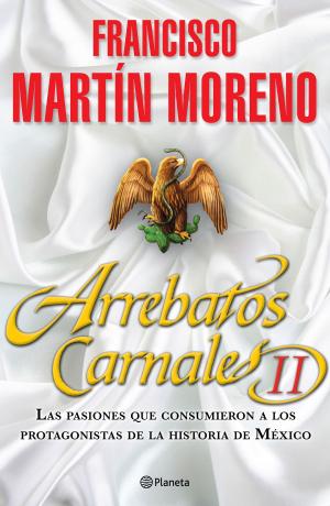 Cover of the book Arrebatos Carnales 2 by Violeta Denou
