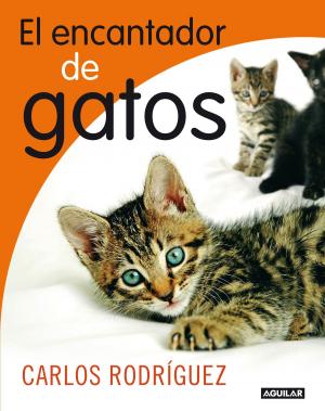 Cover of the book El encantador de gatos by Nathaniel Hawthorne