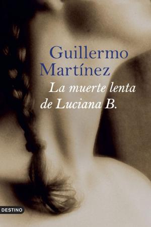 Book cover of La muerte lenta de Luciana B.