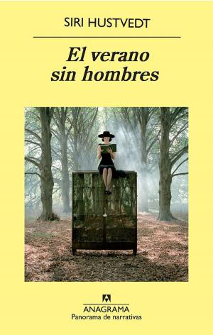 Cover of the book El verano sin hombres by Emmanuel Carrére