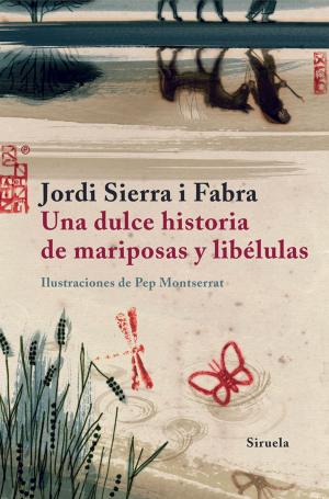 Book cover of Una dulce historia de mariposas y libélulas