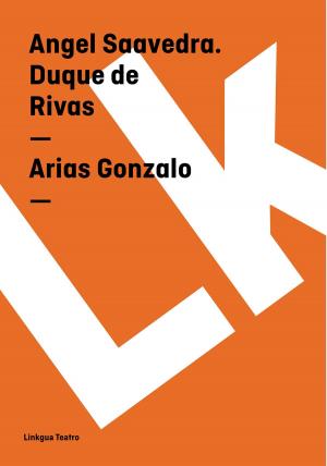 Cover of the book Arias Gonzalo by José Joaquín Granados y Gálvez