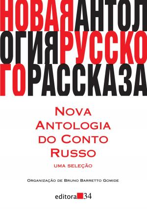 Cover of the book Nova antologia do conto russo by Beatriz Bracher
