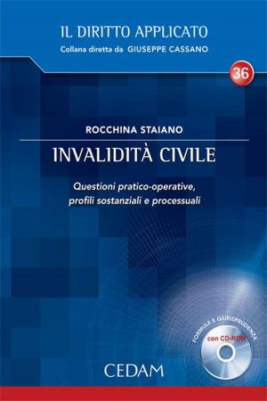 Cover of the book Invalidità civile. Questioni pratico-operative, profili sostanziali e processuali by BUONADONNA ANNA LISA, DE FILIPPIS BRUNO, PINI MILENA, RICCI PASQUALE, SCHETTINI BRUNO