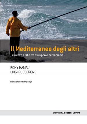 Cover of the book Il Mediterraneo degli altri by Magda Antonioli Corigliano, Rodolfo Baggio