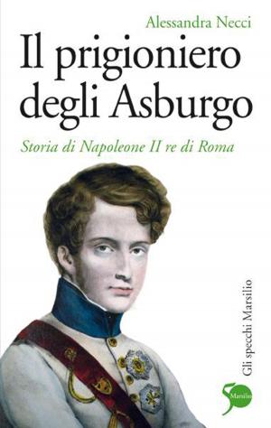 Cover of the book Il prigioniero degli Asburgo by Antonio Franchini