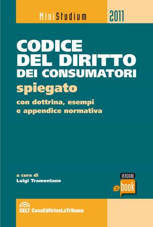 Cover of the book Codice del diritto dei consumatori spiegato by Luigi Tramontano