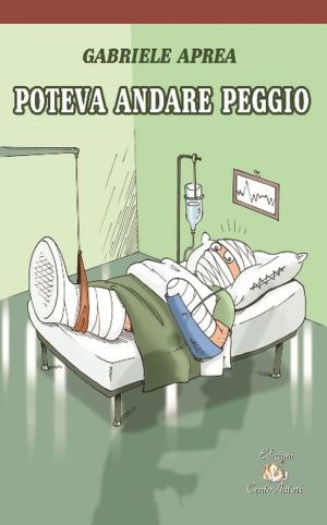 Cover of the book Poteva andare peggio by Gabriele Aprea