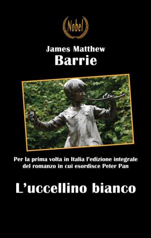 Cover of the book L'uccellino bianco - traduzione integrale by Jack London, Marco Bonfiglio
