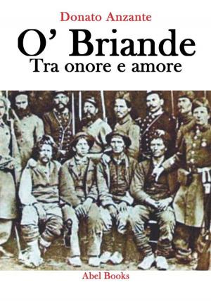 Cover of the book O' Briande - Tra onore e amore by Luciano Modica