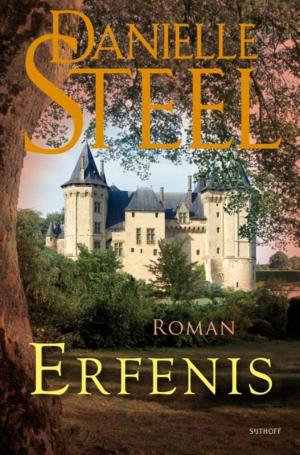 Cover of the book Erfenis by Lee Child