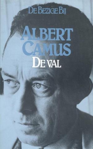 Cover of the book De val by Marten Toonder