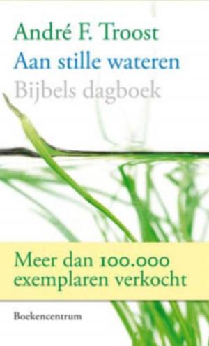 Cover of the book Aan stille wateren by Gerben Heitink