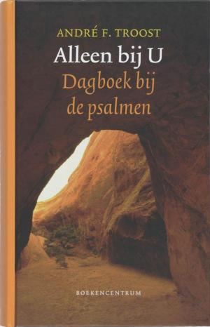 Cover of the book Alleen bij U by Karen Kingsbury
