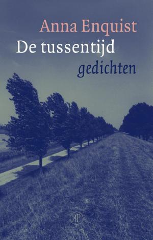 Cover of the book De tussentijd by Atte Jongstra