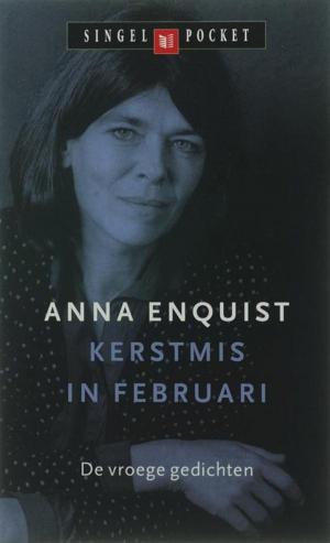 Cover of the book Kerstmis in februari by Arnon Grunberg