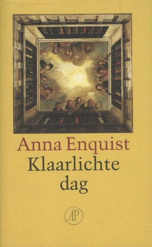 Cover of the book Klaarlichte dag by Maarten 't Hart