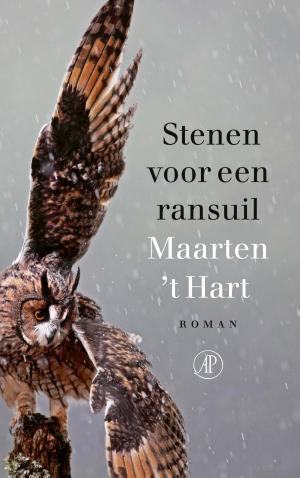 Cover of the book Stenen voor een ransuil by Håkan Nesser