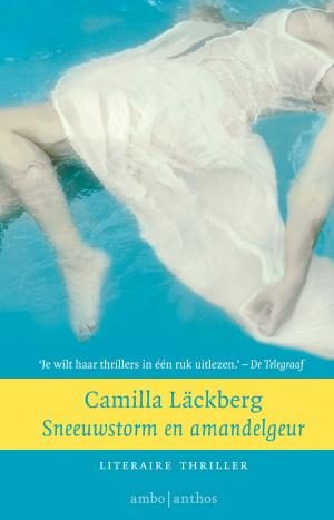 Cover of the book Sneeuwstorm en amandelgeur by Cassandra Johnson