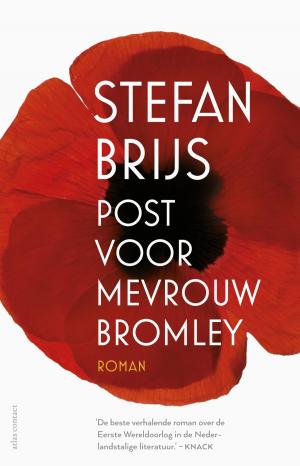 Cover of the book Post voor mevrouw Bromley by Jan-Willem van Beek, Rutger Huizenga