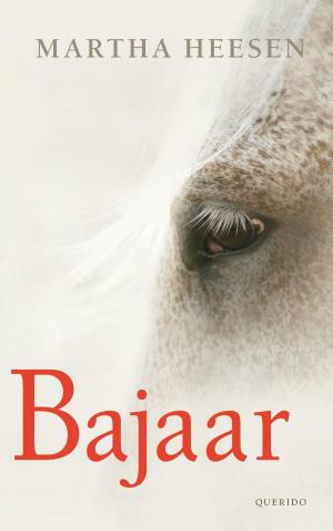 Cover of the book Bajaar by Joost Zwagerman