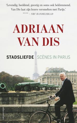 Cover of the book Stadsliefde by Hanna Bervoets