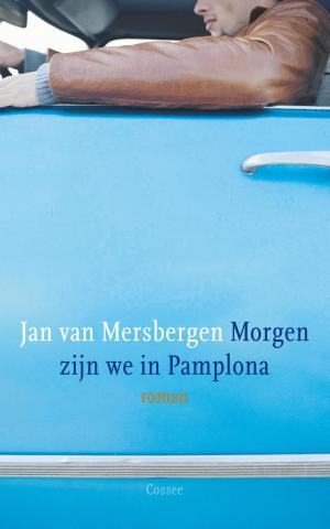 Cover of the book Morgen zijn we in Pamplona by Jane Gardam