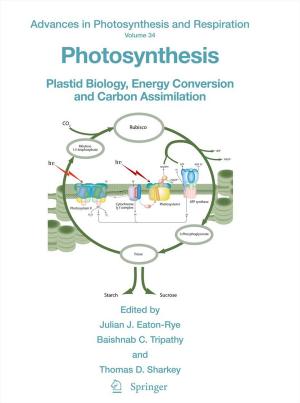 Cover of the book Photosynthesis by Sven Heiles, Rolf Schäfer
