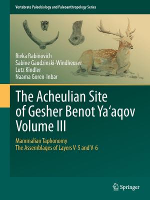Cover of the book The Acheulian Site of Gesher Benot Ya‘aqov Volume III by Martin A. Smith