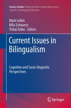bigCover of the book Current Issues in Bilingualism by 