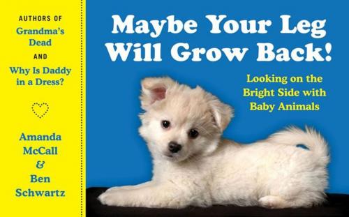 Cover of the book Maybe Your Leg Will Grow Back! by Amanda McCall, Ben Schwartz, William Morrow Paperbacks