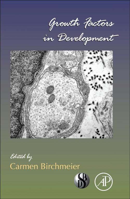 Cover of the book Growth Factors in Development by Carman Birchmeier, Elsevier Science