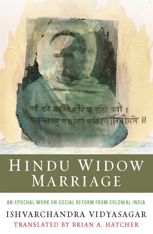Cover of the book Hindu Widow Marriage by Ishvarchandra Vidyasagar, Columbia University Press