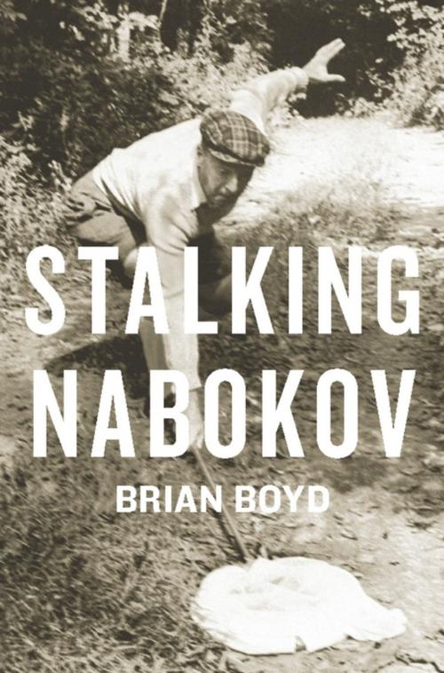 Cover of the book Stalking Nabokov by Brian Boyd, Columbia University Press