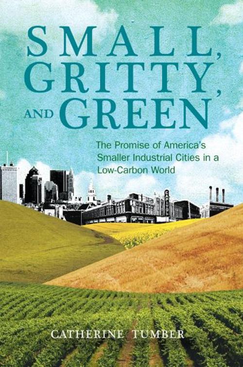 Cover of the book Small, Gritty, and Green by Catherine Tumber, The MIT Press