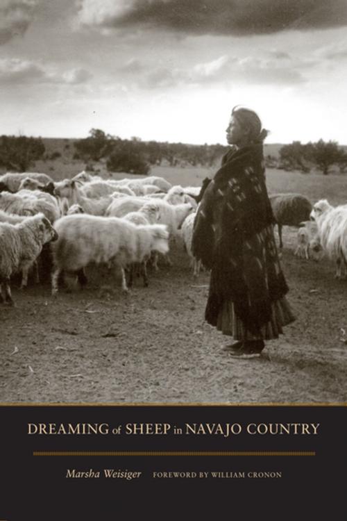 Cover of the book Dreaming of Sheep in Navajo Country by Marsha Weisiger, University of Washington Press