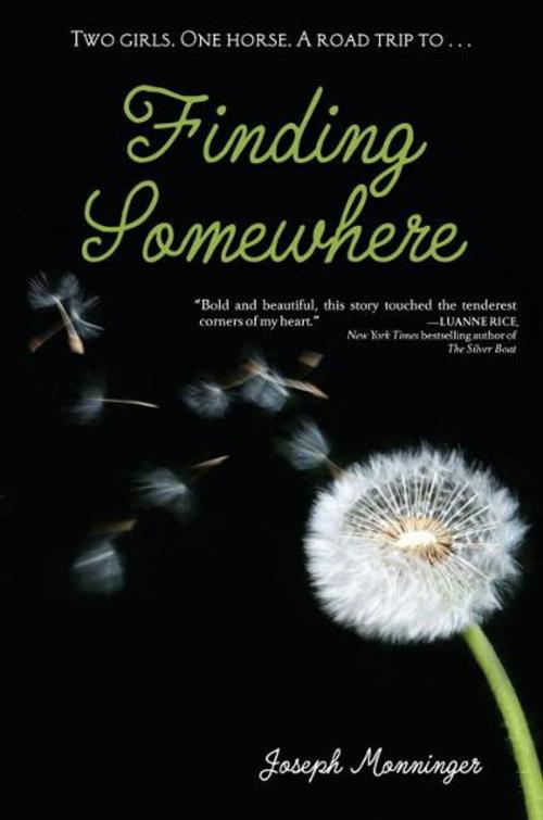 Cover of the book Finding Somewhere by Joseph Monninger, Random House Children's Books