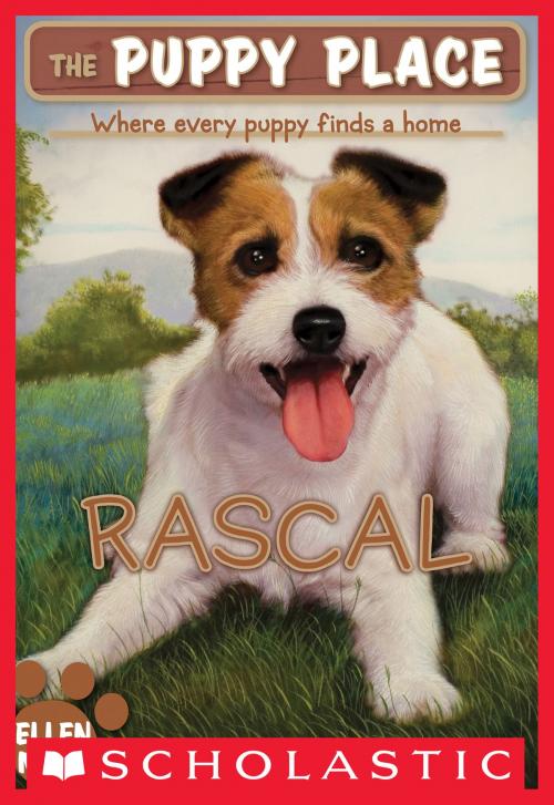 Cover of the book The Puppy Place #4: Rascal by Ellen Miles, Scholastic Inc.