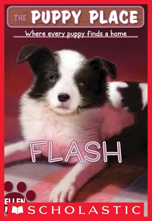 Cover of the book The Puppy Place #6: Flash by Ellen Miles, Scholastic Inc.