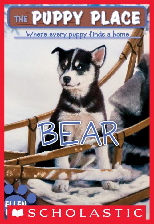 Cover of the book The Puppy Place #14: Bear by Ellen Miles, Scholastic Inc.