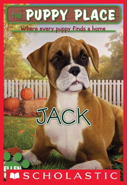 Cover of the book The Puppy Place #17: Jack by Ellen Miles, Scholastic Inc.