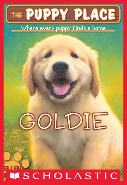 Cover of the book The Puppy Place #1: Goldie by Ellen Miles, Scholastic