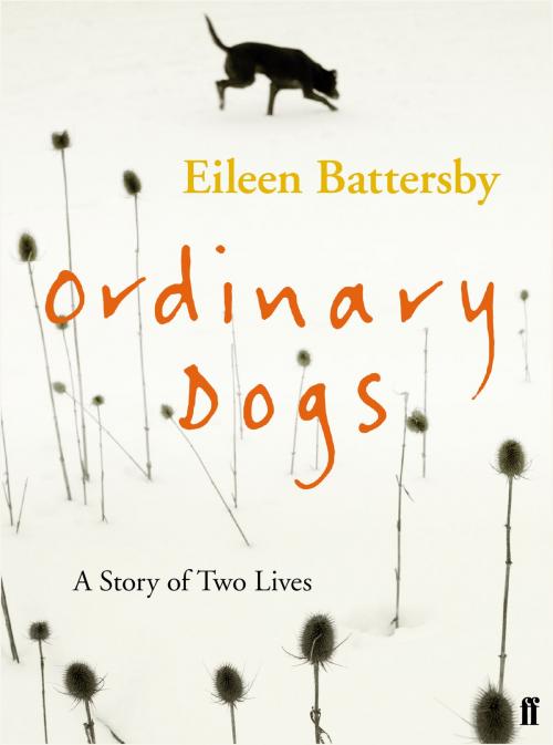 Cover of the book Ordinary Dogs by Eileen Battersby, Faber & Faber