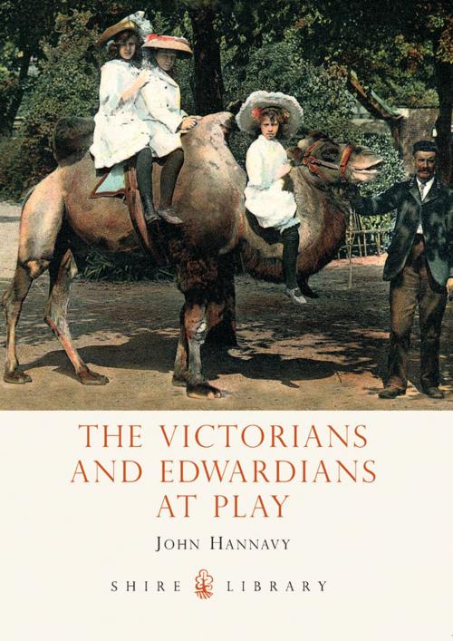 Cover of the book The Victorians and Edwardians at Play by John Hannavy, Bloomsbury Publishing