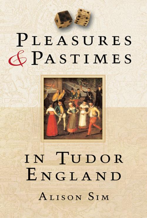 Cover of the book Pleasures and Pastimes in Tudor England by Alison Sim, The History Press