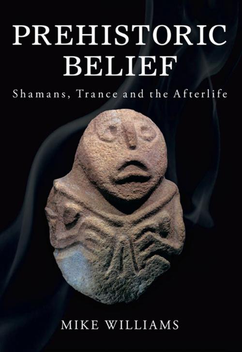Cover of the book Prehistoric Belief by Mike Williams, The History Press