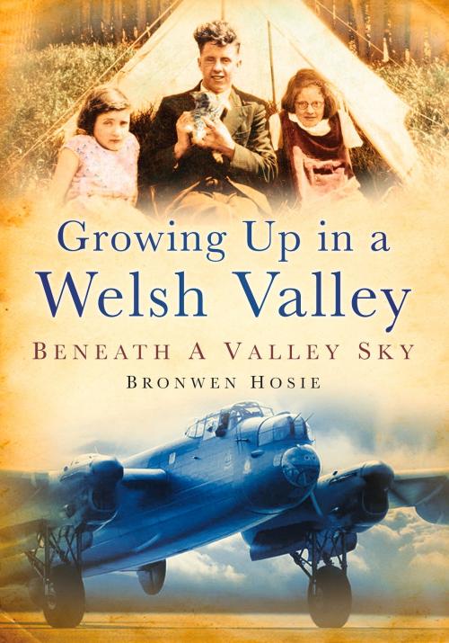 Cover of the book Growing Up in a Welsh Valley by Bronwen Hosie, The History Press