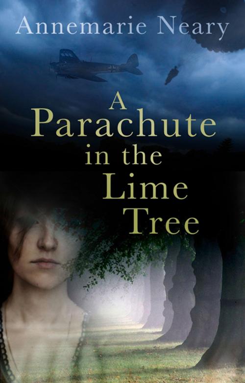 Cover of the book Parachute in the Lime Tree by Annemarie Neary, The History Press