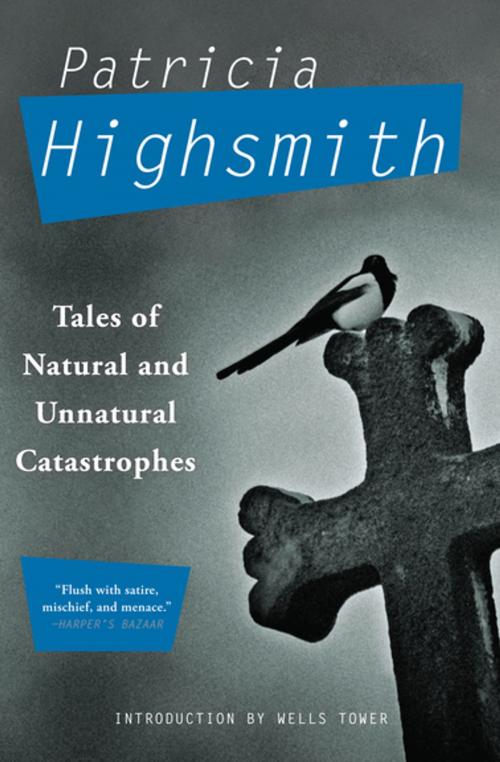 Cover of the book Tales of Natural and Unnatural Catastrophes by Patricia Highsmith, Grove Atlantic